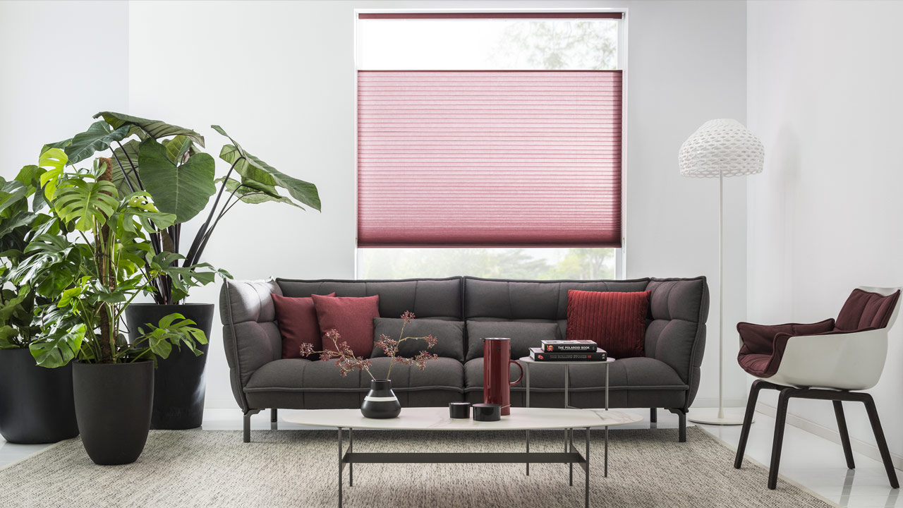 Plisse & Duette Shades